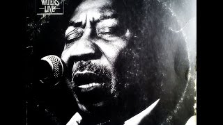MUDDY WATERS -  Muddy "Mississippi" Waters Live (Full Vinyl)