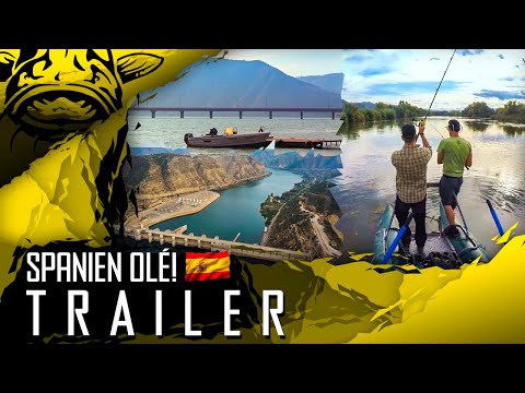 Spanien Ole`| Wallerfischen am Rio Ebro | TRAILER