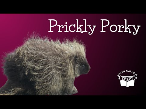 Burgess Animal Book Chapter 11: A Fellow With a Thousand Spears