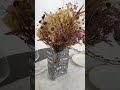 Youtube-видео 