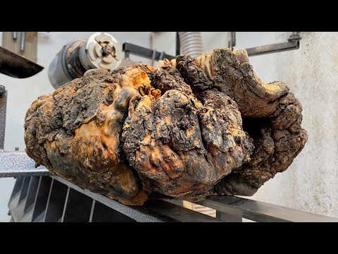 My Best Project - Born From Disaster!