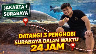DATANGI 3 PENGHOBIES SURABAYA SEKALIGUS DALAM WAKTU 24 JAM MEMBAWA MISI KHUSUS!!!