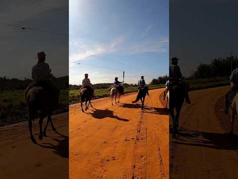 🔥🐎 77ª Geração e Distribuição da Chama Crioula