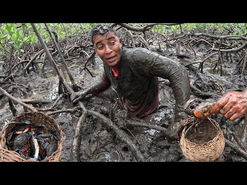 Catching CRAB, BLUE CRAB AND RED CRAB challenging the mangrove swamp