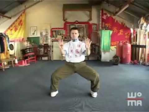 Jim Uglow Hung Gar Iron Wire