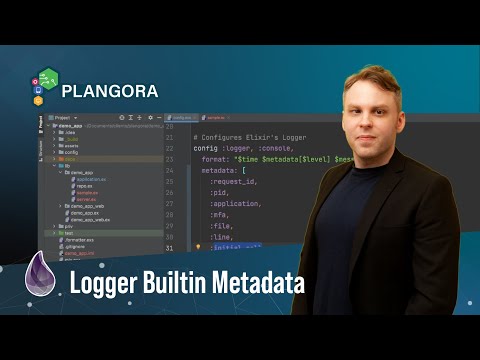 Logger Builtin Metadata in Phoenix