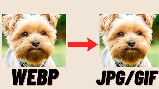 How to change WEBP files to JPG or GIF