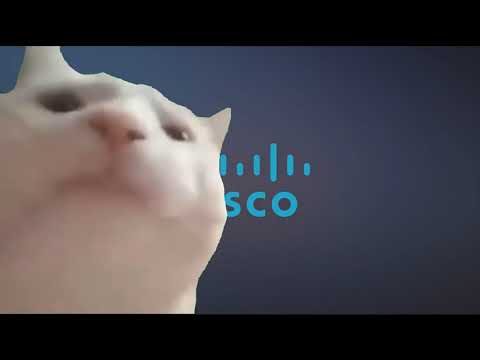 Vibe Cat Vibing to Cisco On-Hold Music (Opus Number 1)