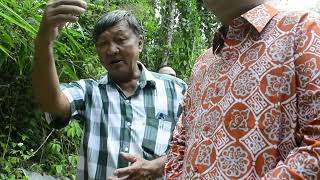 23 05 66 นายอำเภอเบตงรุดแก้ปัญหาปลานิล ปลาเศรษฐกิจเมืองเบตงตายเกลื่อนนับหมื่นตัว 23 05 66 นายอำเภอเบตงรุดแก้ปัญหาปลานิล ปลาเศรษฐกิจเมืองเบตงตายเกลื่อนนับหมื่นตัว