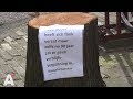 Mysterieuze briefjes op gekapte bomen Frederik Hendrikstraat