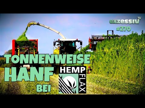 N° 270 TONNENWEISE HANF BEI HEMPFLAX