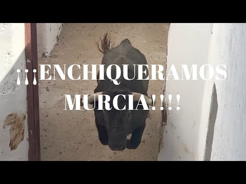 ENCHIQUERAMOS para Plaza de Toros de MURCIA los VICTORINOS para Mano a Mano Rafaelillo-Ferrera