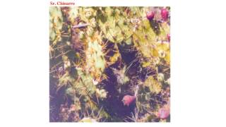 Sr. Chinarro - Leave me alone (New Order cover) [AUDIO]