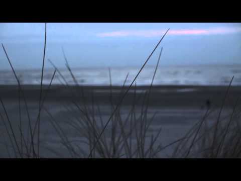 Jan Loechel - Brand New Day (Lyric Video)