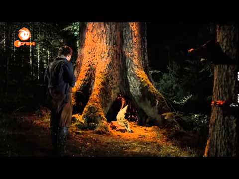 Das kalte Herz (2014) - Trailer