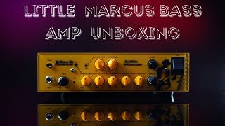 Video thumbnail for Marcus Miller 500w Bass Amp - Mark Bass Epic Unboxing by Unbox Of Death