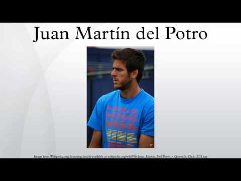 Juan Martín del Potro