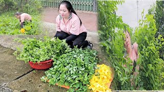 Cut vegetables to sell to have money to buy light bulbs