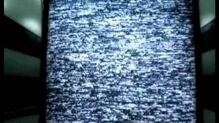 Fall For You - The Whitlams