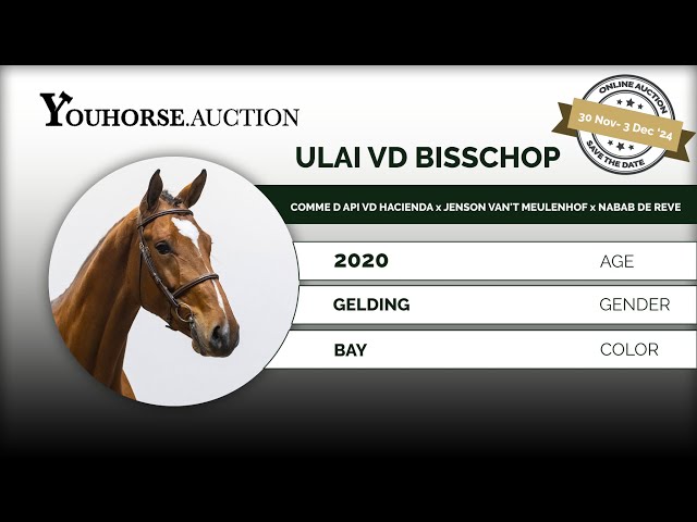 Ulai vd Bisschop