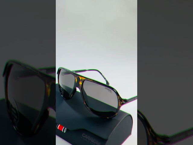 Vídeo relacionado con Carrera Gafas de Sol 341/S 2IK HAVANA GOLD 54/17/145 Hombre