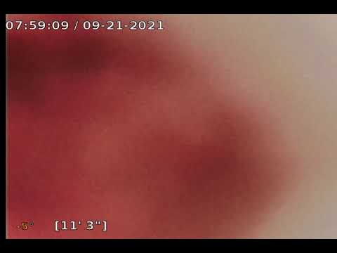 1716 Cambridge St. Unit 2 - 1