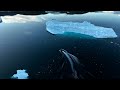 Greenland Drone 4k 4K