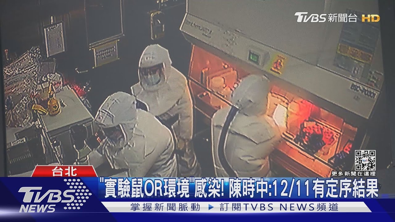 「實驗鼠OR環境」感染！　陳時中：12/11有定序結果
