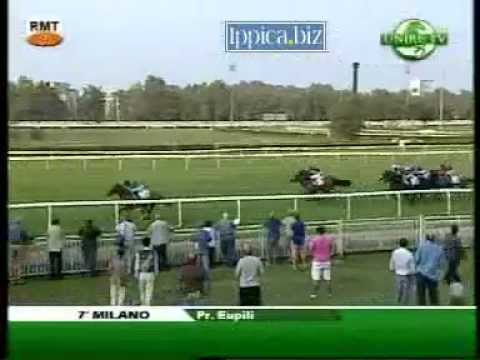 Premio Eupili 2011 (LISTED RACE)