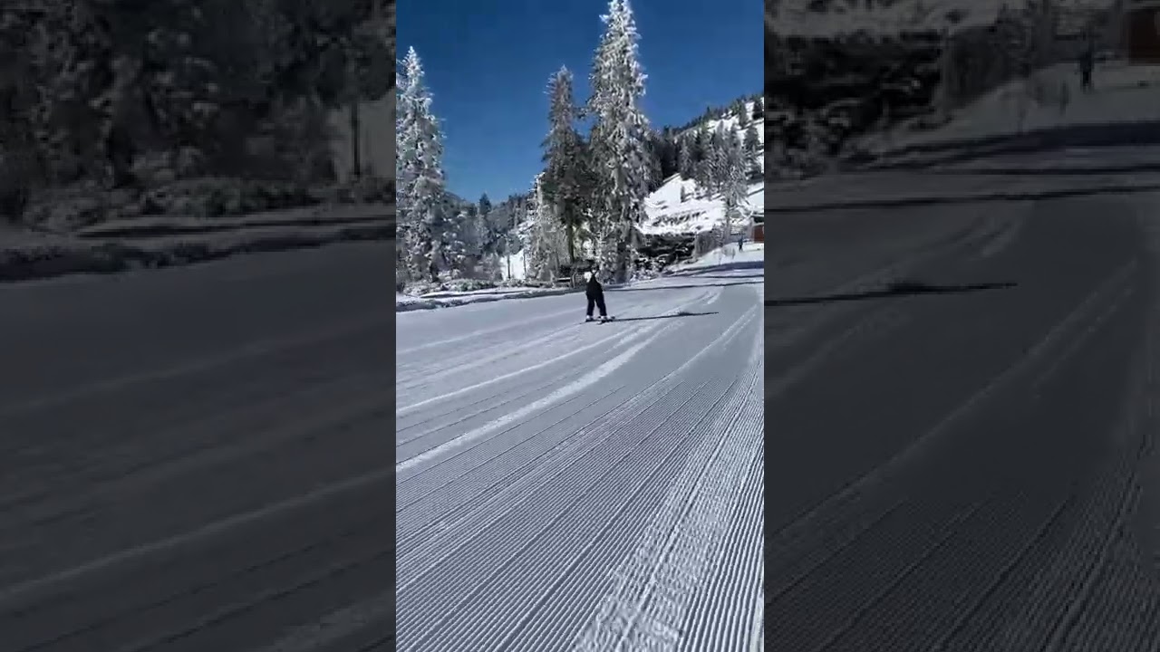 3-6-22 | First run of the day!