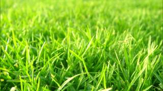 Liza Hanim - Getaran Cinta Di Jiwa