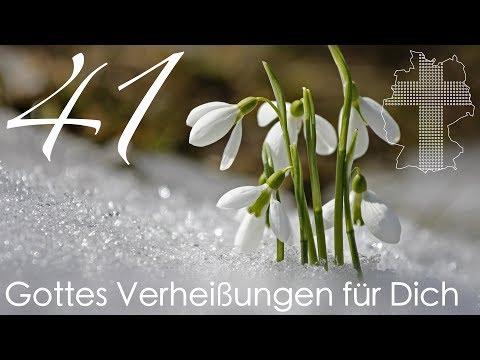 Gottes Verheißungen für Dich - Johannes 10,10 | Videokalender 41/365 - Deutschland braucht JESUS