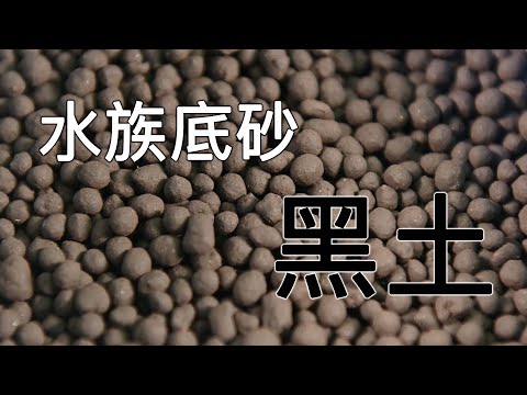 黑土適合養什麼魚