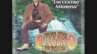 El Lobito de Sinaloa - Me voy a cortar las venas