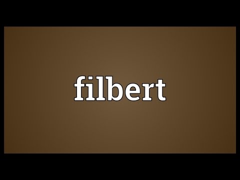 Filbert Meaning