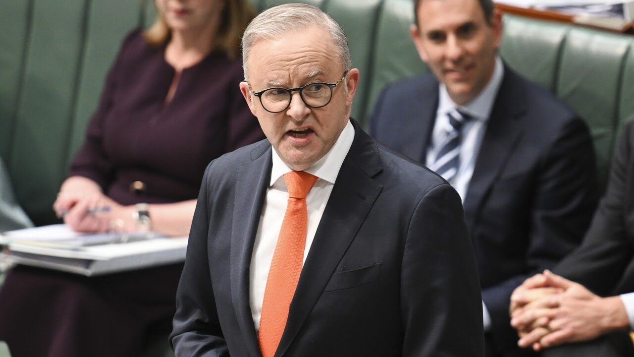 ‘Extraordinary’: Albanese government looking at cancelling export industries