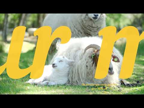 Ealle, Nolly, Renzo BA - Your Mind (Official Lyrics Visualizer)