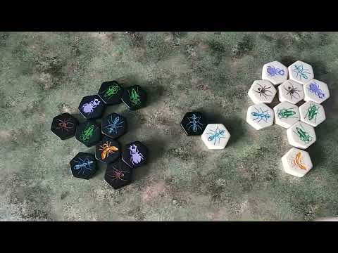 Kilka słów o: Rój