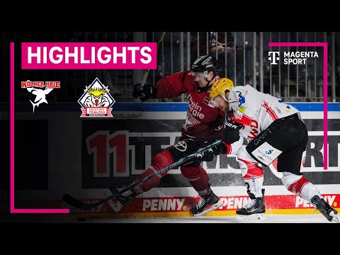 Kölner Haie - Pinguins Bremerhaven | PENNY DEL | MAGENTA SPORT