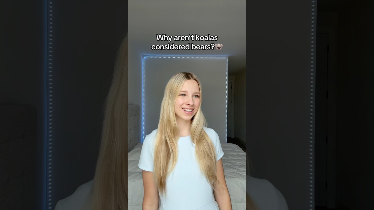 POV: You tell a joke to a nerd🤓🐨 #shorts #shortsfeed #tiktok #adiaava #funny #skit #relatable