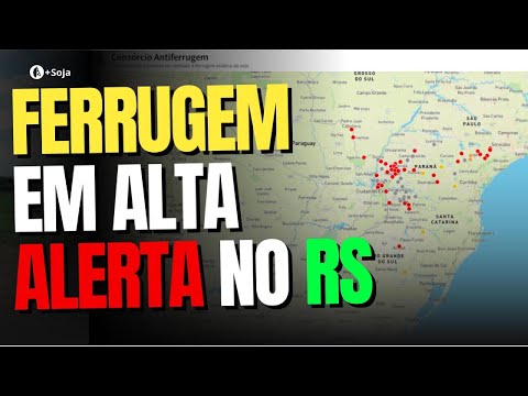 Ferrugem-asiática: Primeiro caso do RS é registrado em lavoura comercial