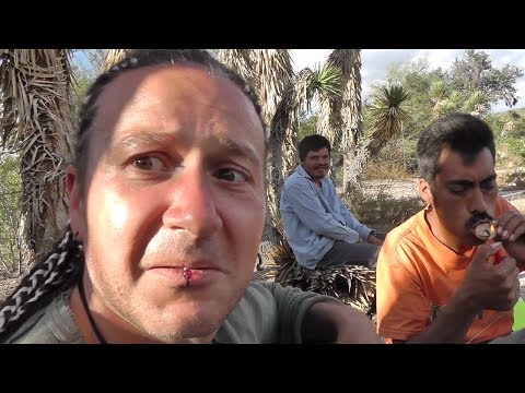 PEYOTE & MOTA,how does it work the desert @ Real de catorce - Mexico