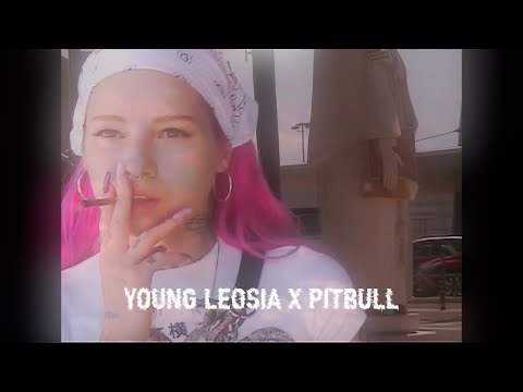 Young Leosia x Pittbull - Bajda Ella
