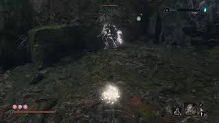 復活の狼～SEKIRO～　獅子猿選から