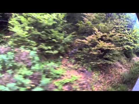 Pensiuni Timisoara Ieftine - Cazat.ro