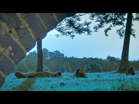 Summer Dubstep Mix 2024 | Skrillex, Kill the Noise, Zomboy, Teminite, Monxx, Pegboard Nerds...