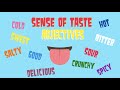 Sense of Taste Adjectives
