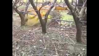 macadamia Music Video