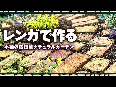  19 のトップアイデアをうまく​​注入するために、庭で育てる芳香のハーブ！  庭園