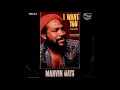 Marvin Gaye ~ I Want You 1976 Soul Purrfection Version